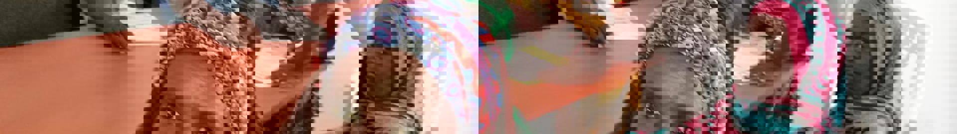 Lutheran World Federation (LWF)